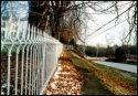 Heritage Hill Farm- Fence Restoration